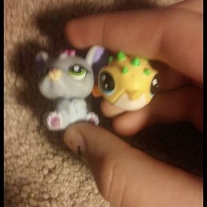 Theyre a bundle and the mouse is rare